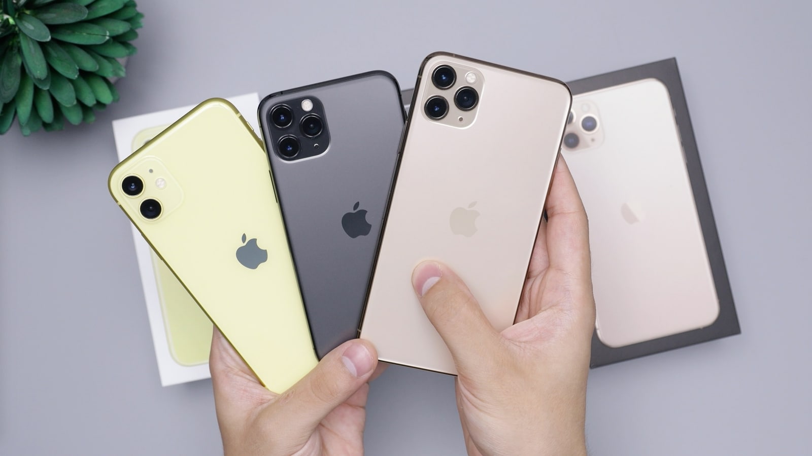 O vazamento do iPhone 16 sugere mais opções de cores do que os modelos anteriores – tudo o que você precisa saber